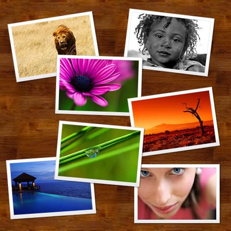 ���ٻ �ء���� �Ҿ���� �Ҿ��§�� �Ҿ��Ƿ�ȹ� �Ҿ�ɳ� �Ҿ������ҧ˹ѧ 
